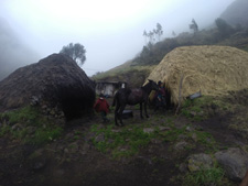 Ecuador-Highlands Riding Tours-Wild Andes Expedition